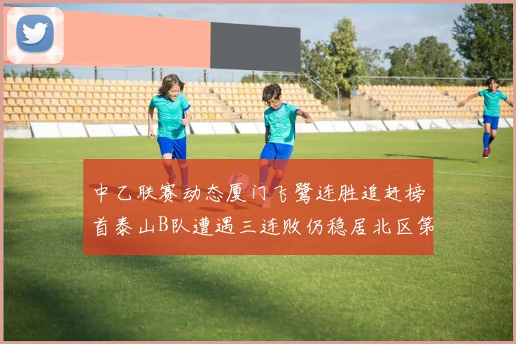 中乙联赛动态厦门飞鹭连胜追赶榜首泰山B队遭遇三连败仍稳居北区第三