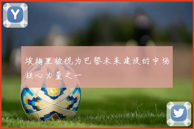埃梅里被视为巴黎未来建设的中场核心力量之一